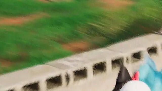 闲得无聊的路排