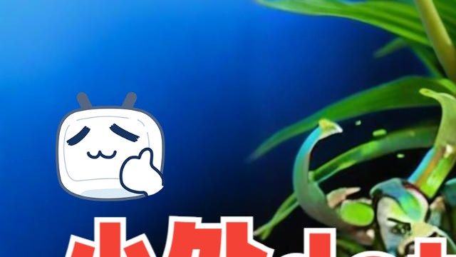 【小处dota2】毫无技巧的公式化上分先知